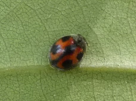photo_1
